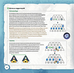 Board Game - Zoollywood. Polar Adventure